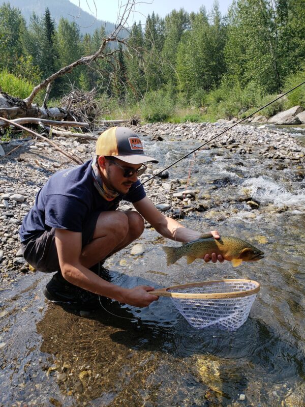 Dry Fly River Essentials