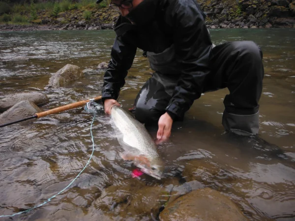 PNW Steelhead Fly Essentials - Image 2