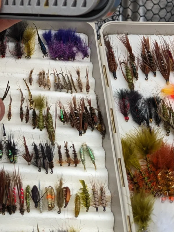 Summer Trout BC Lake Box - Image 3